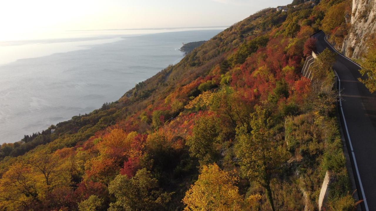 奥里西纳Panorama公寓 外观 照片